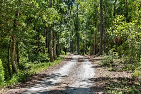 Custom home Southeastern NC — photo 3